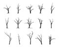 Bare tree silhouettes, Tree silhouette, Dead tree silhouette, Tree vector illustration Royalty Free Stock Photo