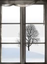 Bare tree in sparse winter landscape Royalty Free Stock Photo