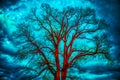 Bare tree, dramatic cloudy sky Royalty Free Stock Photo