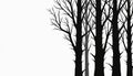 Bare tree trunks and branches rendered in stark black and white. A minimalist graphic illustration suggests a forest or wood. The Royalty Free Stock Photo