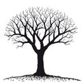 Bare tree (vector) Royalty Free Stock Photo