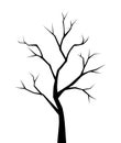 Bare tree. Vector black silhouette. Royalty Free Stock Photo