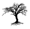 Bare Tree Vector, Silhouette Image Royalty Free Stock Photo