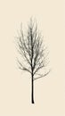 Bare Tree in Winter Royalty Free Stock Photo