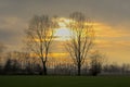 Bare trees against a colorful cloudy winter evening sky with artistic blur effect Royalty Free Stock Photo