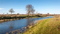 Bare trees along the banks of a small stream Royalty Free Stock Photo