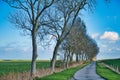 Bare trees along a lonely country road through a vast rural landscape Royalty Free Stock Photo