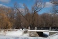 Bare trees on the banks of a frozen pond and a white stone bridge with cast-iron railings, Moscow, 2021 Royalty Free Stock Photo