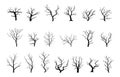 Bare trees black silhouettes. Isolated tree autumn style design. Winter season forest plants, branches and trunks Royalty Free Stock Photo