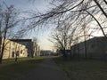 Bare trees with a concrete walkway around an urban area in Berlin