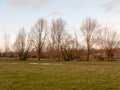bare trees dedham country autumn winter field outside nature lan Royalty Free Stock Photo