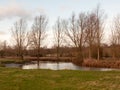 bare trees dedham country autumn winter field outside nature lan Royalty Free Stock Photo