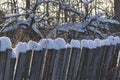Bare trees and dry grass near the old wooden fence in winter, covered with snow. Snow in the countryside. Rural winter landscape Royalty Free Stock Photo
