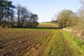Bare trees, hedgerows and newly ploughed fields on the robin Hood Trail Royalty Free Stock Photo