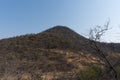 Bare trees and hills in Mixteca Poblana, Puebla, Mexico