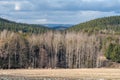 Bare trees leafless forest autumn winter hill field Royalty Free Stock Photo