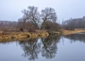 Bare trees are reflected in the cold November river Royalty Free Stock Photo