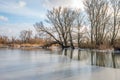 Bare trees reflected on the water and ice surface Royalty Free Stock Photo