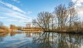 Bare trees reflected in the water surface Royalty Free Stock Photo