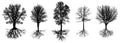 Bare trees with roots. Silhouettes of beautiful deciduous trees with bare branches, set. Vector illustration Royalty Free Stock Photo