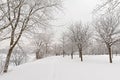 Bare trees in the snow along frozen Prairies river in Ile de la visitation park, Montreal