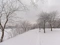 Bare trees in the snow along frozen Prairies river ina city park in Montreal