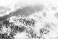 Bare trees in the snow capped mountains in the morning fog, winter background Royalty Free Stock Photo