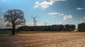 Bare trees in an un sown field waiting for warm with wind turbines generating electricity on the background in spring. central Royalty Free Stock Photo