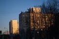 bare trees in winter on the background of a multi-storey building Royalty Free Stock Photo