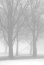 Bare trees in winter fog Royalty Free Stock Photo