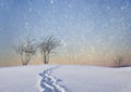 Bare trees in winter landscape Royalty Free Stock Photo