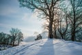 Bare trees in winter Royalty Free Stock Photo