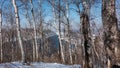 Bare trunks and branches of deciduous trees against the backdrop of a blue river and an azure sky. Royalty Free Stock Photo