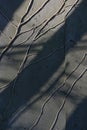 Bare Twigs Of A Climbing Plant Without Leaves On A Plastered Gray Wall With Diagonal Shadows, Abstract Background Or Wabi Sabi