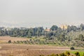 Bare vineyard and lush grove