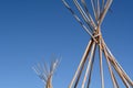 Bare winter teepee or tipi poles at end of camping season