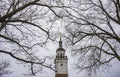 Bare winter tree branches and a bell tower of the a cathedral photographed on a overcast morning Royalty Free Stock Photo
