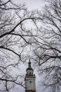 Bare winter tree branches and a bell tower of the a cathedral photographed on a overcast morning Royalty Free Stock Photo