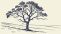 Bare Winter Tree on Hilltop: Solitude Resilience, vector design Generative AI Royalty Free Stock Photo