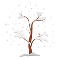 Bare winter tree in the snow. Hollow tree in winter isolated on white background.