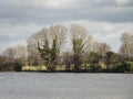 Bare winter trees seen across a lake in a Yorkshire nature reserve, England