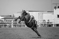 Bareback Bucking Bronc Riding At Country Rodeo Royalty Free Stock Photo