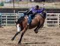 Bareback Rodeo Roder