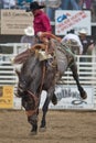 Bareback - Sisters, Oregon Rodeo 2011 Royalty Free Stock Photo