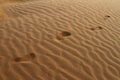 Barefeet footprints on the sand dune Royalty Free Stock Photo