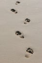 Barefeet footprints in wet sand Royalty Free Stock Photo