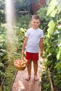 Barefoot baby with a basket of apples in his hands