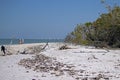 Barefoot Beach - Fort Myers Beach, Florida