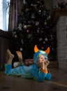 Boy of 4-5 years old, dressed in costume of little monster, dreamily lies on floor near the Christmas tree