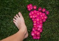 Barefoot female foot and footprint made of pink roses on green grass Royalty Free Stock Photo